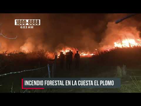 Logran sofocar incendio forestal en el cerro «La Cuesta el Plomo» - Nicaragua