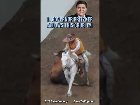 Decoy Illinois  - A Parody