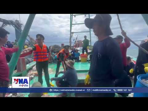 Biên phòng Côn Đảo bắt giữ đối tượng lẩn trốn trên tàu cá