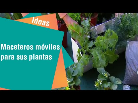 Emprendimientos para sus plantas | Ideas