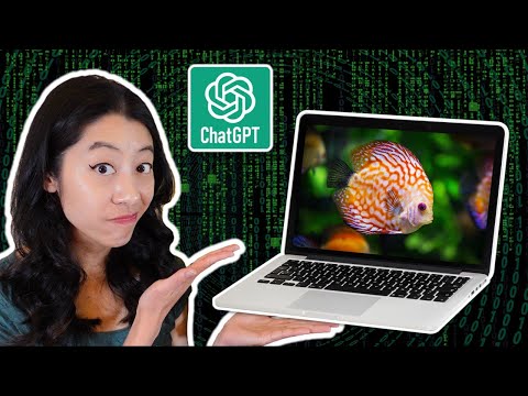 Asking ChatGPT 5 TRICKY Fish Keeping Questions My husband asked me if I was afraid of losing my job at Aquarium Co-Op because AI or artificial inte