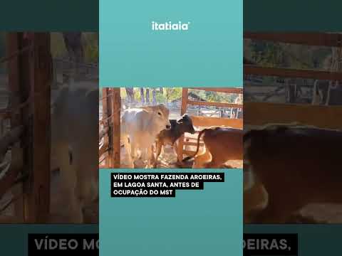 VIDEO MOSTRA FAZENDA EM LAGOA SANTA ANTES DA INVASÃO DO MST