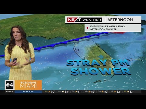 South Florida 8 a.m. Weather Forecast 4/21/2024