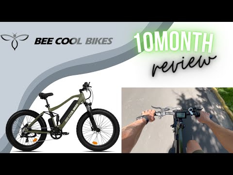 Bee Cool Ebike | 10 Month Review