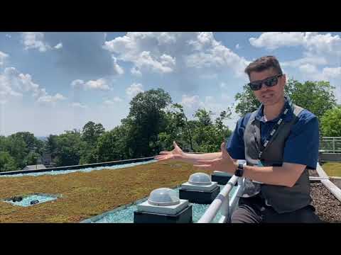 Tour of the MKA Green Roof