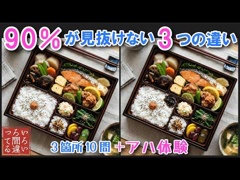 【料理で脳トレ】幕の内弁当の間違い探しとアハ体験で集中力と記憶力を楽しく鍛えよう！【認知症予防/老化予防/物忘れ/デイサービス/4K】