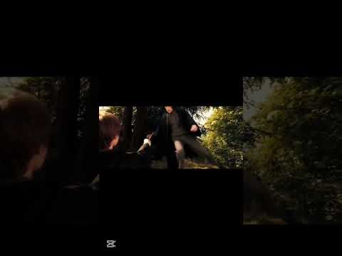 Never knew #harrypotter #jamespotter #potterhead #severussnape #hogwarts #dracomalfoy #shorts #hp 