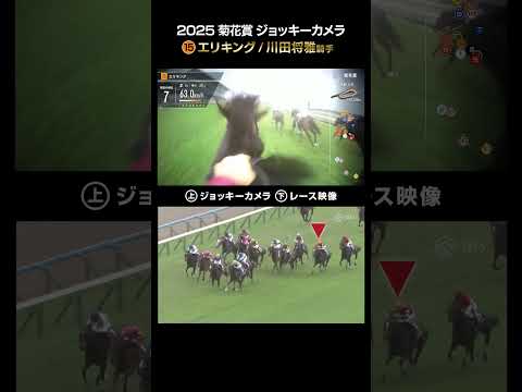 【ジョッキーカメラ×レース映像】2025年菊花賞 エリキング 川田将雅騎手 #shorts |JRA公式