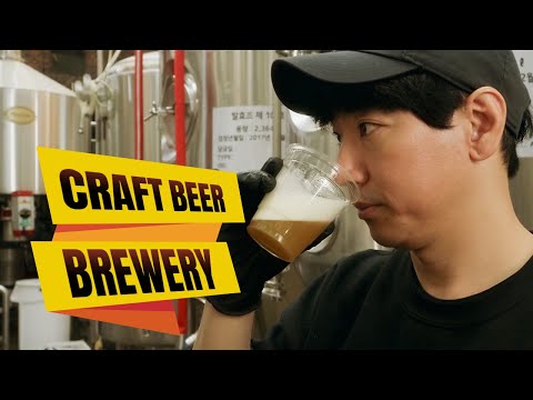 Craft Beer Brewery Owner's Instructions on Making Beer - Factory Process