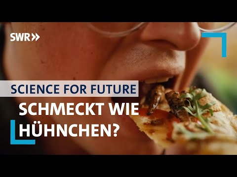 Algen & Insekten: unser Essen in der Zukunft? – Science for Future mit Jacob Beautemps