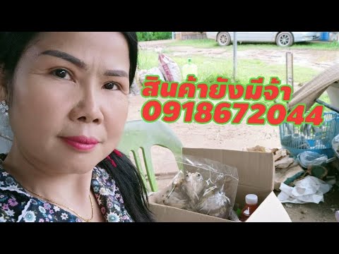 สินค้ามีจ้า.0918672044 สินค้ามีจ้า.0918672044