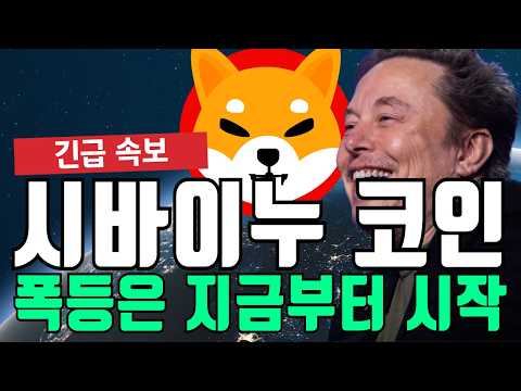 <strong>시바이누</strong> 코인 폭등은 지금부터 시작 입니다