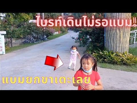 ไบรท์แบม|พาเที่ยวแล้วเดินไม