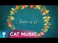 Launch Mini Player