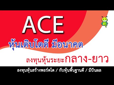 060564รวยด้วยหุ้น:ACEหุ้