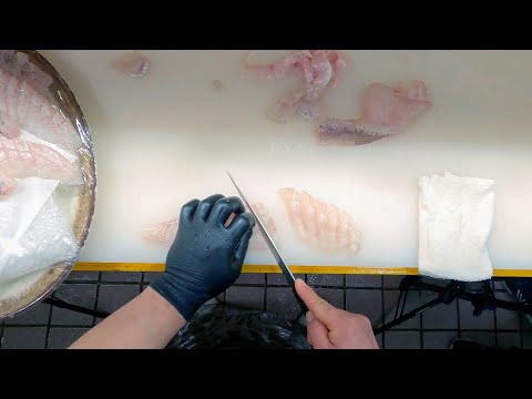 Amazing Knife Skills / How to make sliced flatfish and rockfish