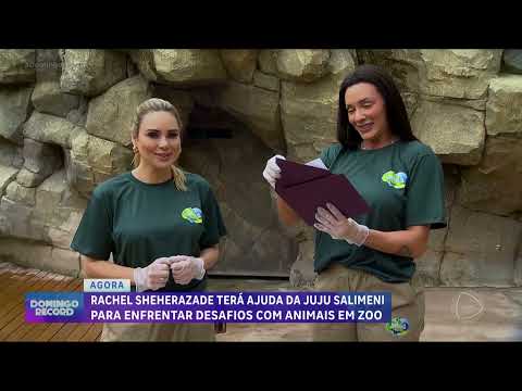 'Domingo Record': Rachel Sheherazade e Juju Salimeni são tratadoras de animais por um dia