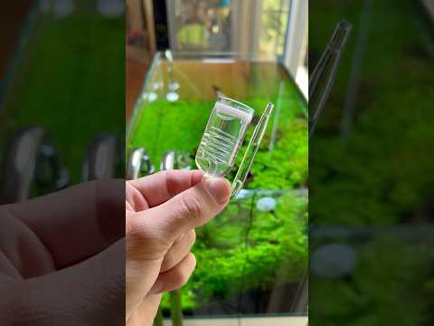 I ordered a cheap co2 diffuser and it did better t 