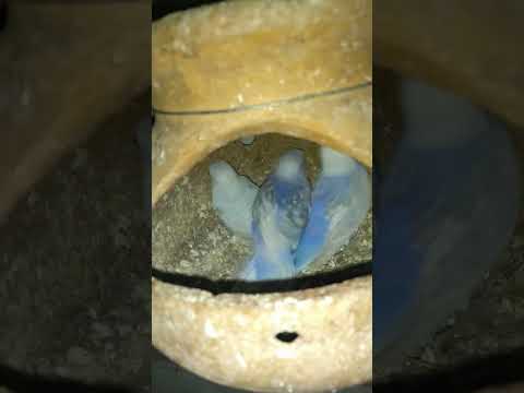 😅😅😅😅 #song #slowedandreverb #music