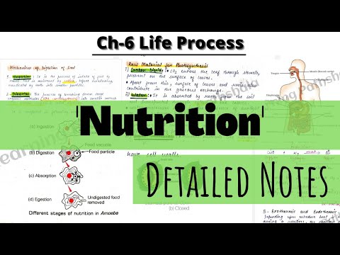 Life Processes|| Topic- Nutrition|| DETAILED NOTES 🔥Ch-6 Class 10 Science|| Cbse