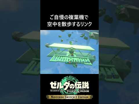 ご自慢の複葉機で空中を散歩するリンク