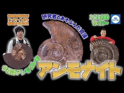 【ライブ配信】研究者とあそぶんだ会議　今夜はアレモコレモアンモナイト