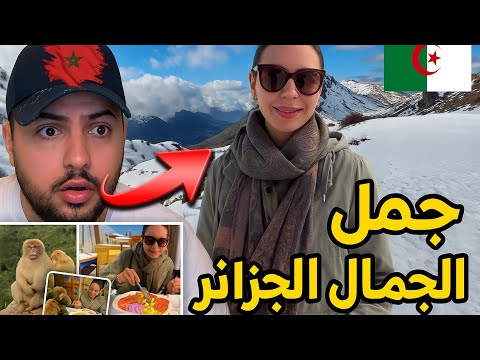 🔥🇲🇦 مغربي مصدوم من جمال الجزائر 😱 حتى السياح الأمريكيين مبهورين 🇺🇸🇩🇿