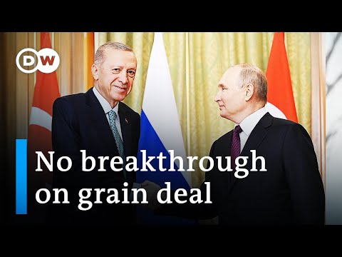 Putin, Erdogan discuss Black Sea grain deal | DW News