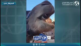 طلع أذكى منهم