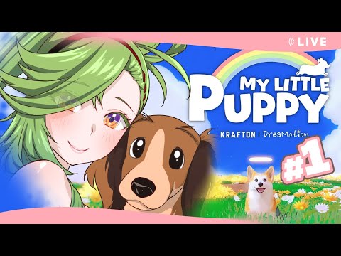 thumbnail_QigjKB5onL4