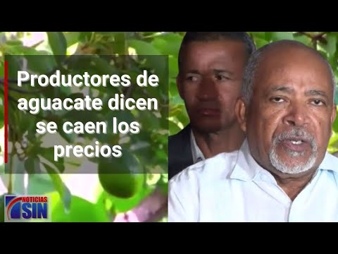 #EmisiónEstelarSIN: Productores y Armas