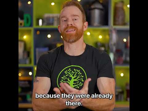 Brick and Mortar Business Vs Online Business