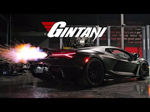 Gintani Team: Car Work, Banter, and Surprises Galore!