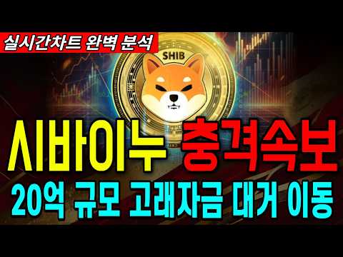 #<strong>시바이누코인</strong> #시바이누전망 #시바이누분석