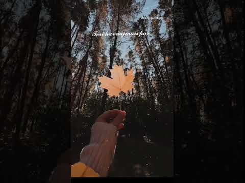 ya Allah 💫 #viralvideo #viralshorts #islamicquotes_p4y #viralpoetry #lines#explorislam #viral