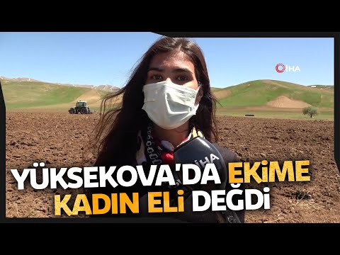 Yüksekova’da Ekime Kadın Eli Değdi