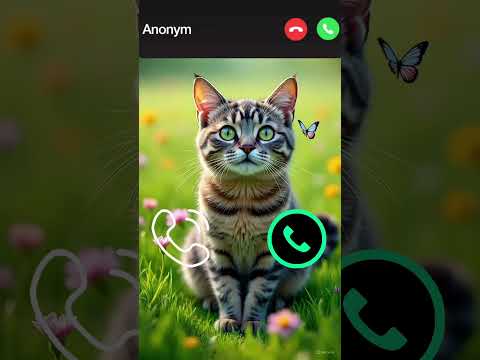 Cat Calling 😁#ringtone #cat #gato #babygirl #youtubeshorts #catlovers #viralvideo #mi #shorts
