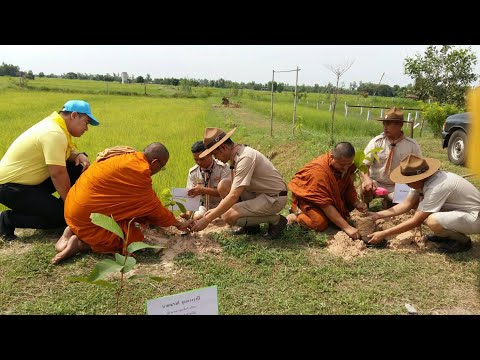 สจ.ตุลธรขามช่วงเขตอำเภอโพธิ์