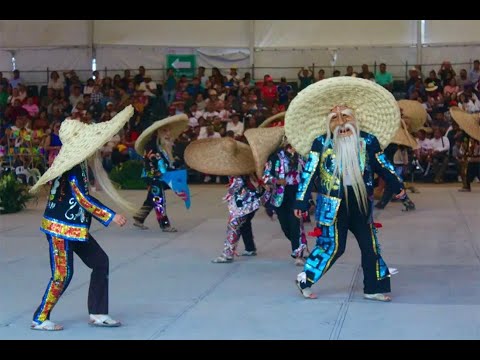 Danzas que datan de más de 200 años, en el festival Ximopano No Kali