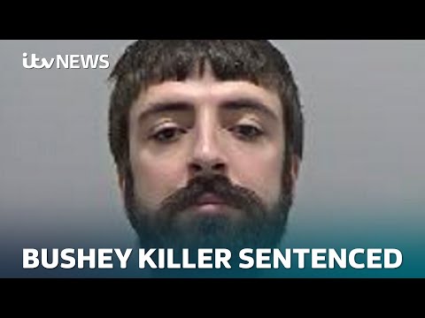 Judge's full remarks: Bushey killer Kyle Clifford given life in jail (Warning: Distressing details)