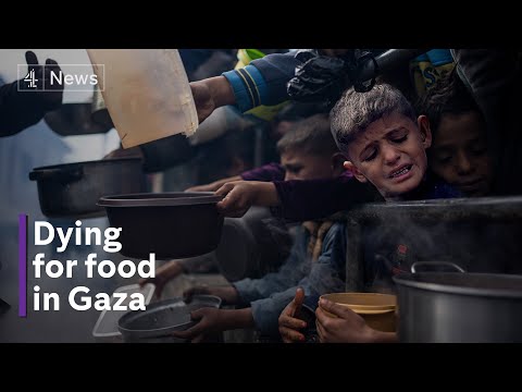 Over 100 dead as Israel opens fire on Gazans scrambling for food, say Palestinians