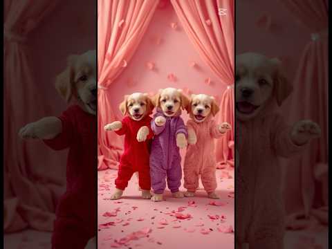 Puppies dance motorcycle 🏍️ #shorts #dog #viral #memes