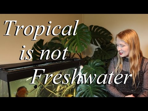 Tropical aquarium is not a Freshwater aquarium? A  You'll here the terms tropical fish, tropical aquarium, tropical in general used very frequently in 