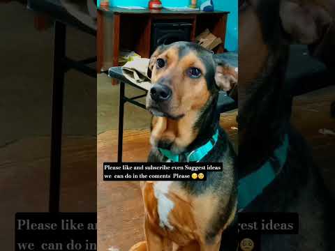 Please like and subscribe even Suggest ideas we can do in the coments Please 😔🥺