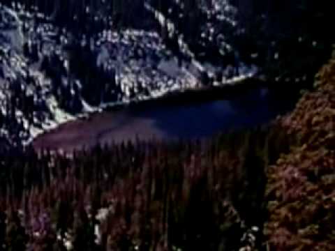 65daysofstatic - radio protector