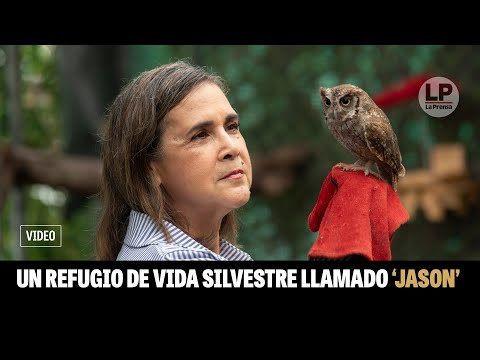 Prensa.com: Un refugio de vida silvestre llamado 'Jason'