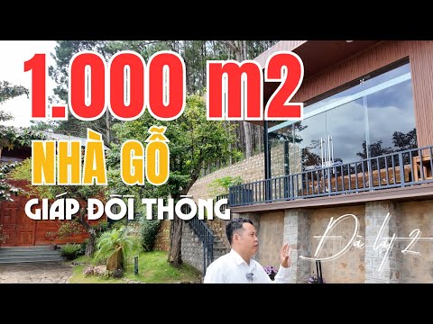 Ngôi nhà giáp thông ở ngoại ô Đà Lạt nhà gỗ, view săn mây săn mưa ngắm ánh đèn đêm