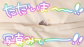 💚〘 #雑談 〙ただいまー！！🏠旅行から帰ってきたよ✈️⸒⸒写真とか見せる！！！✨おはなししよー！！ Talking 〘 花百合ちゅみ/ぶい