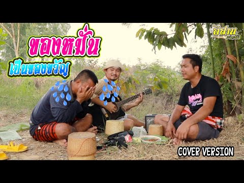 ของหมั่นเป็นของขวัญ-[COVER-VER ของหมั่นเป็นของขวัญ-[COVER-VER