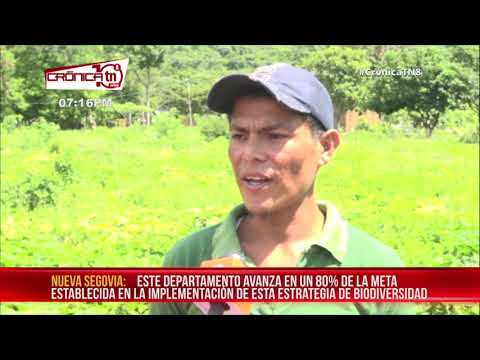 Realizan concurso de alimentos alternativos en Nueva Segovia - Nicaragua